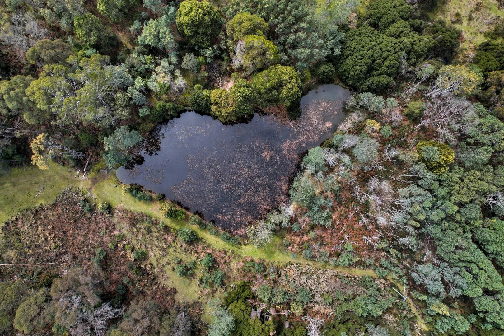 Additional image 13 of 28A Lorikeet Lane, Rosevale TAS 7292