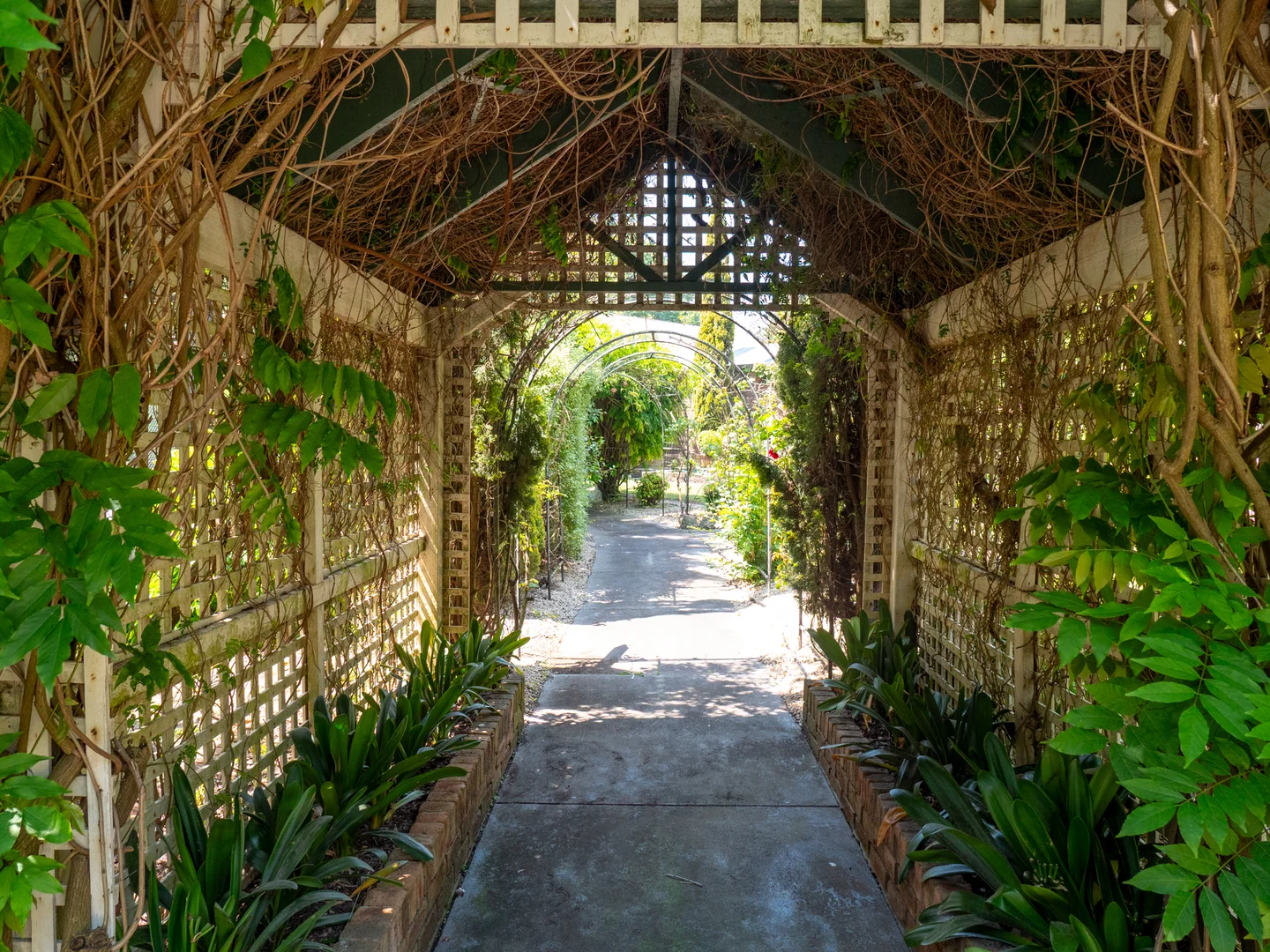 Additional image 64 of 60 Desmond Road, Wattle Bank VIC 3995