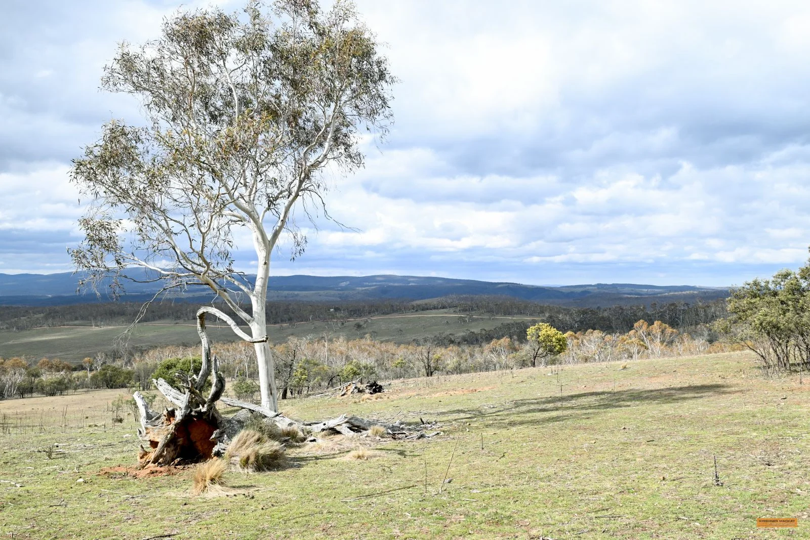 Additional image 30 of "Eagle Heights" 636 Caddigat Road, Dry Plain NSW 2630