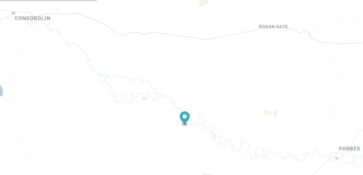 Additional image 32 of 4005 Lachlan Valley Way, Forbes NSW 2871