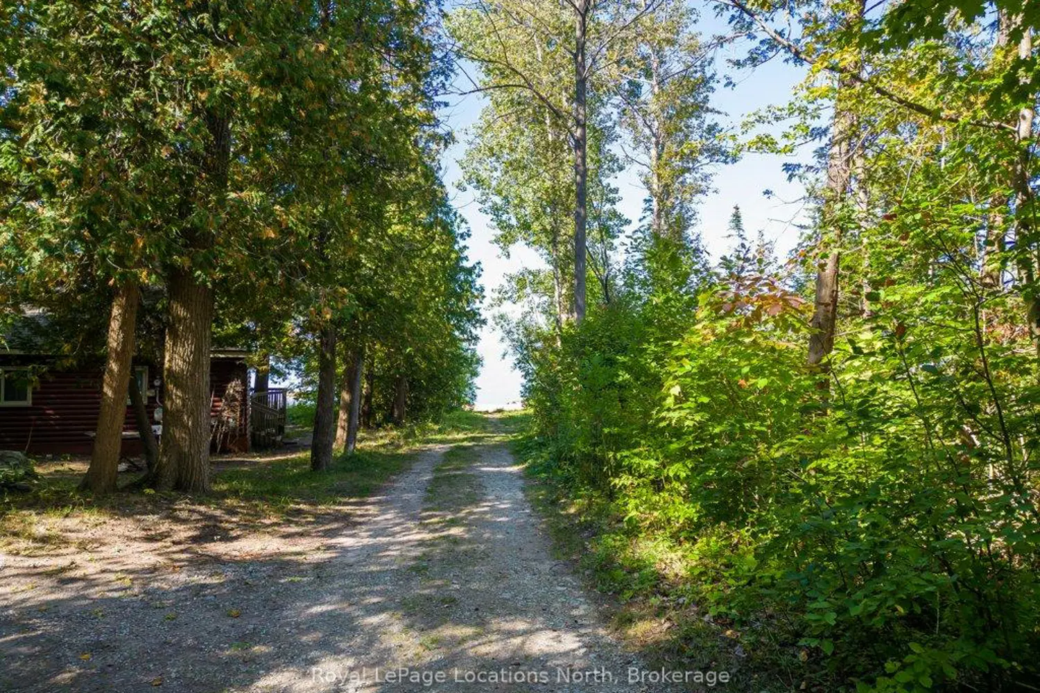 Additional image 18 of 112 Cameron Street