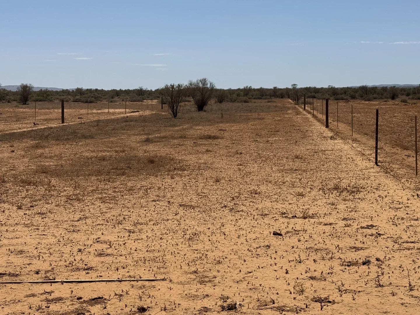 Additional image 21 of Minburra/Lynch Road, Minburra SA 5431