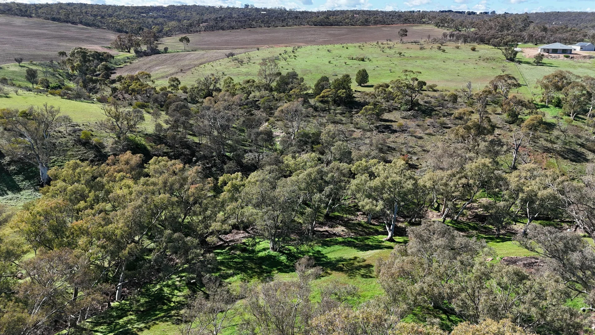 Additional image 26 of 284 Beetaloo Valley Rd, Beetaloo Valley SA 5523