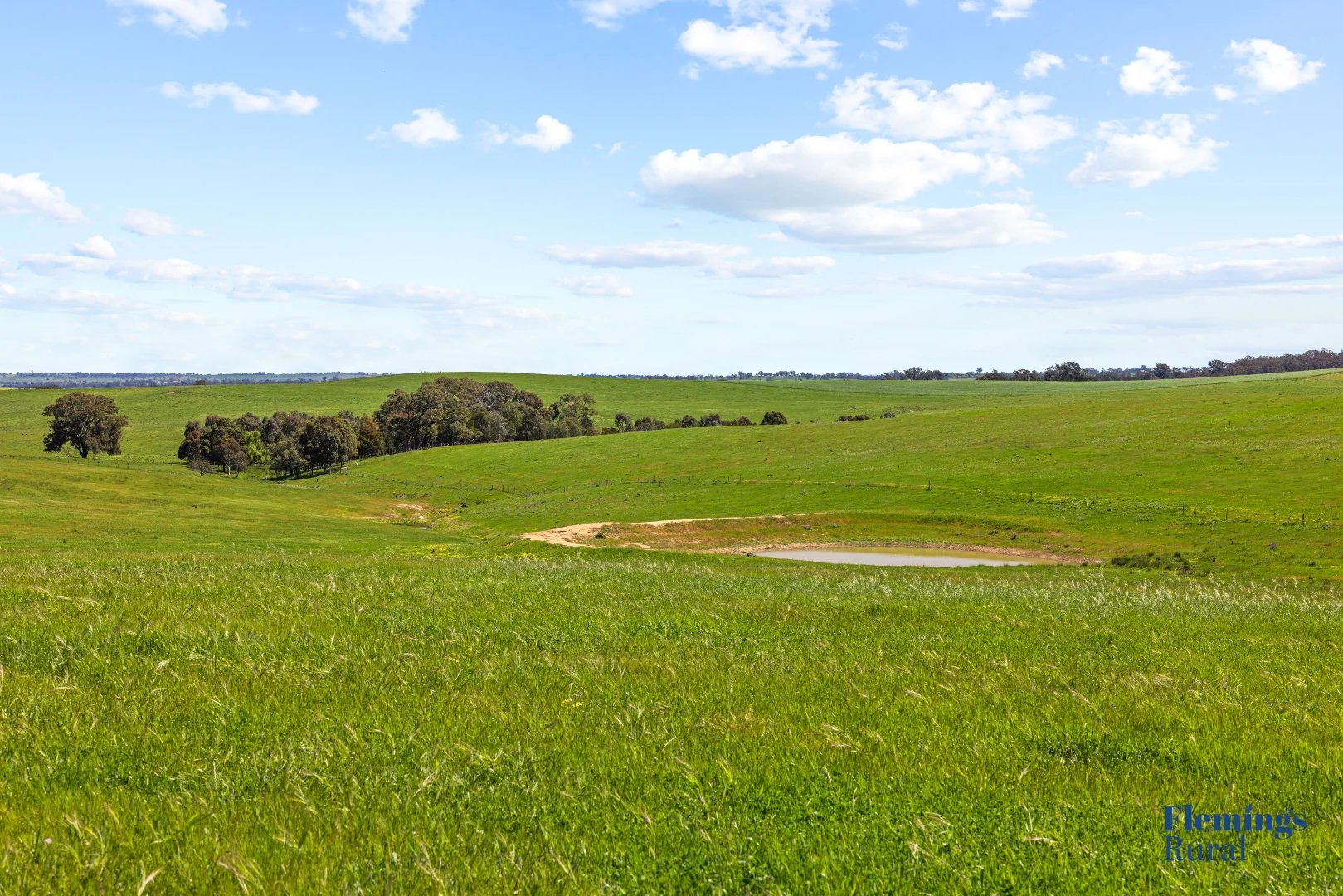 Additional image 14 of 105 Peakview Road, Young NSW 2594