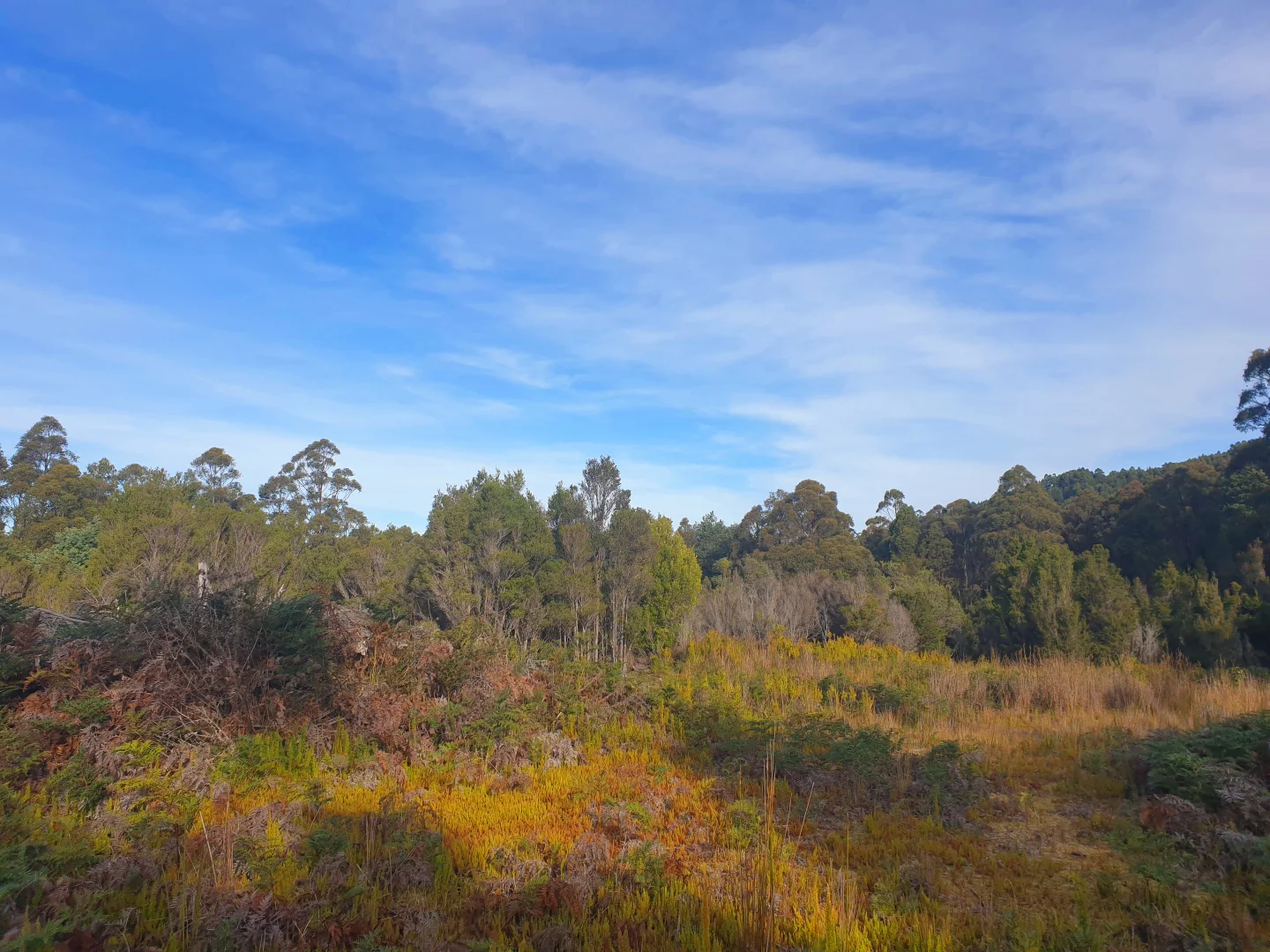 Additional image 6 of 405 Woodbridge Hill Road, Woodbridge TAS 7162