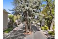 Additional image 55 of 138 Stone Pine Ln, Menlo Park, CA, 94025