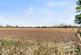 Additional image 25 of High Ongar Road, Ongar CM5