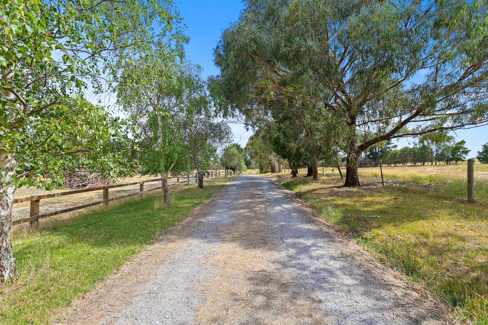 Additional image 20 of 31 Jagoe Road, Ripplebrook VIC 3818