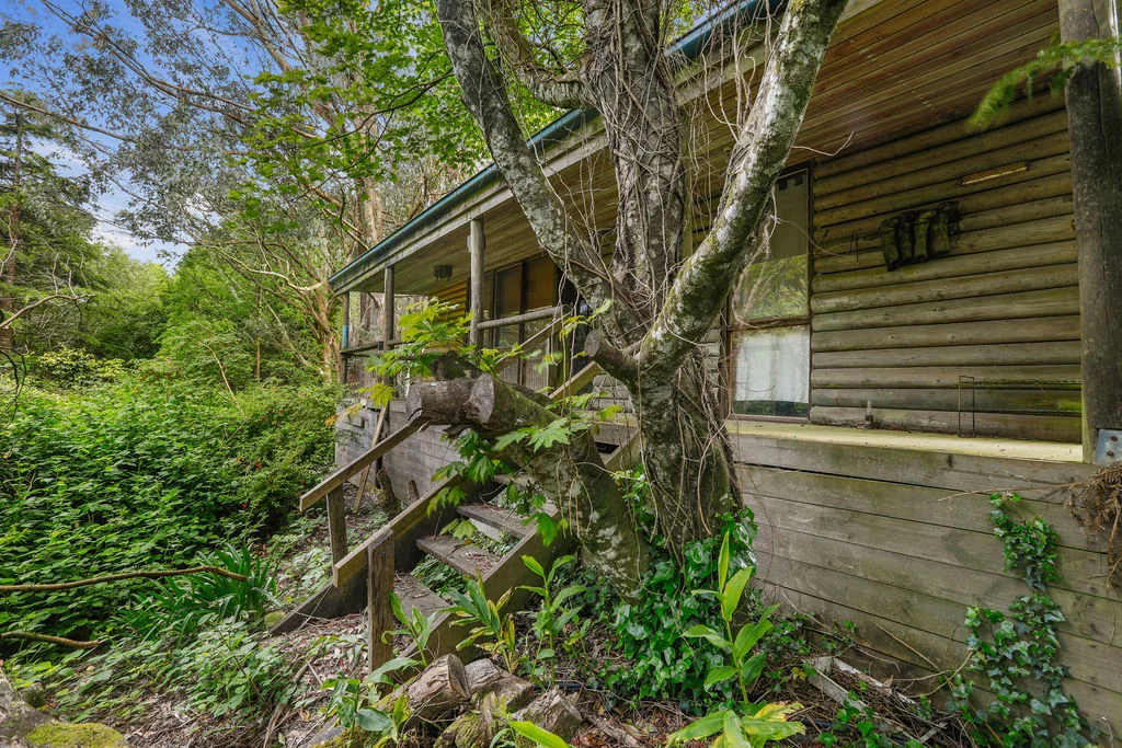 Additional image 6 of 19A, B & C Lavers Hill-Cobden Road, Lavers Hill VIC 3238