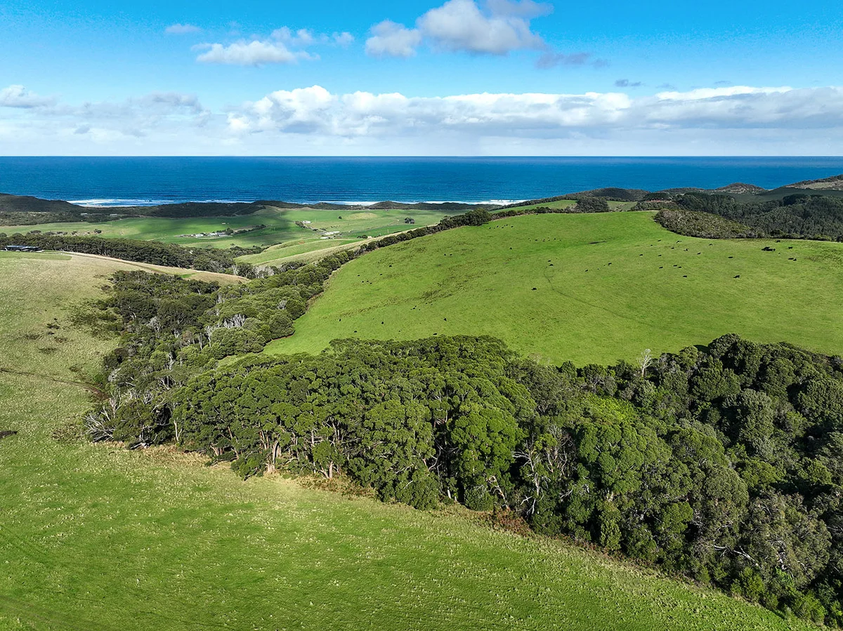 Additional image 2 of 105 Stafford Road, Johanna VIC 3238