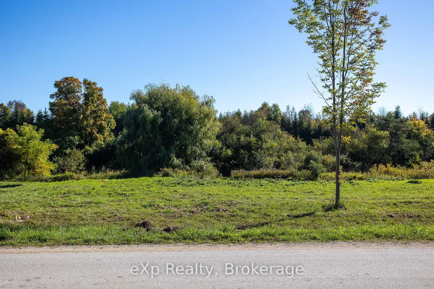 Additional image 6 of Park Lt 3 7Th Line