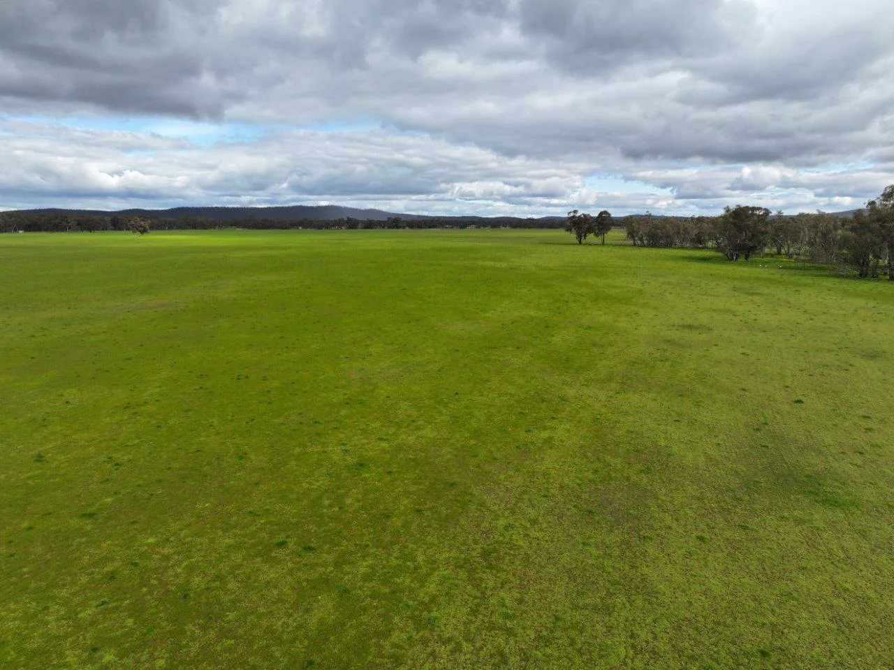 Additional image 14 of - Kurting Kingower Road, Kurting VIC 3517