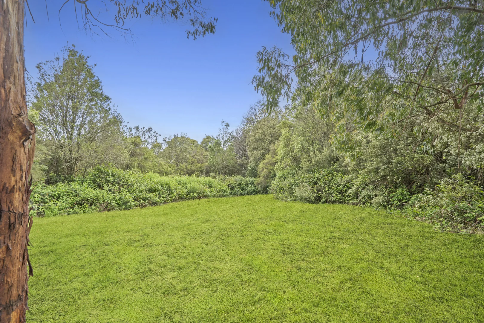 Additional image 7 of 170 Blue Johanna Road, Johanna VIC 3238