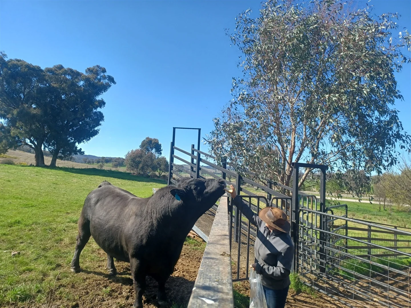 Additional image 30 of 3924 Hume Highway, Tarcutta NSW 2652