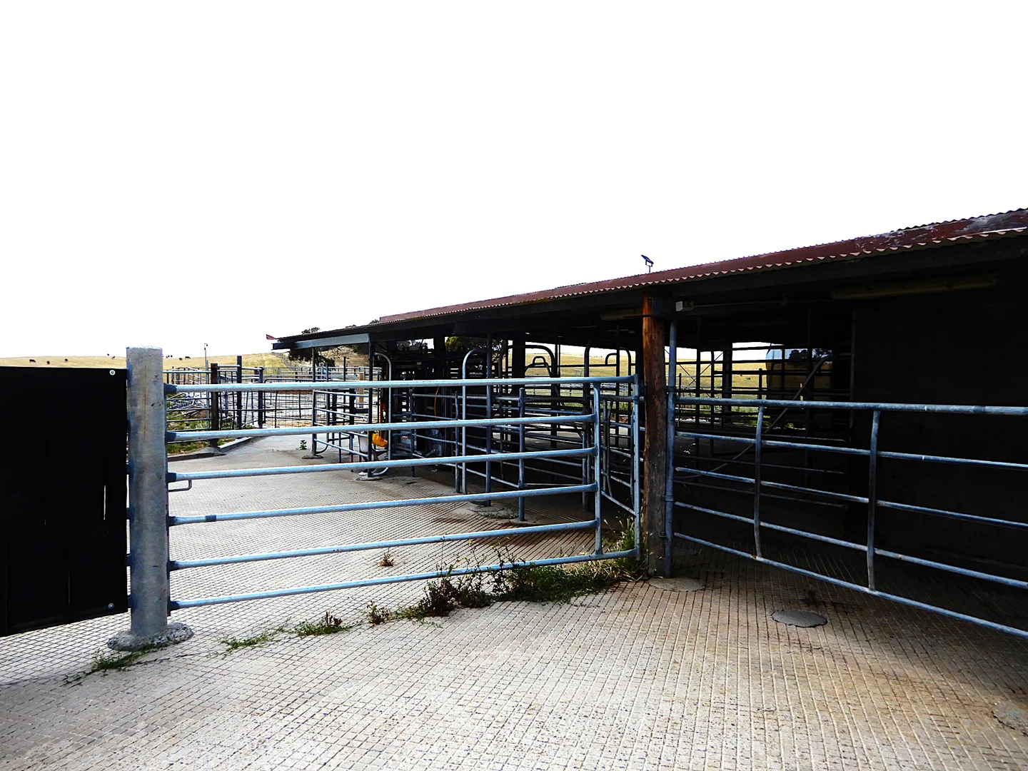 Additional image 10 of 252 Jabez Williams Road, Meningie SA 5264