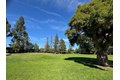 Additional image 24 of 219 Longridge Rd, Los Gatos, CA, 95032