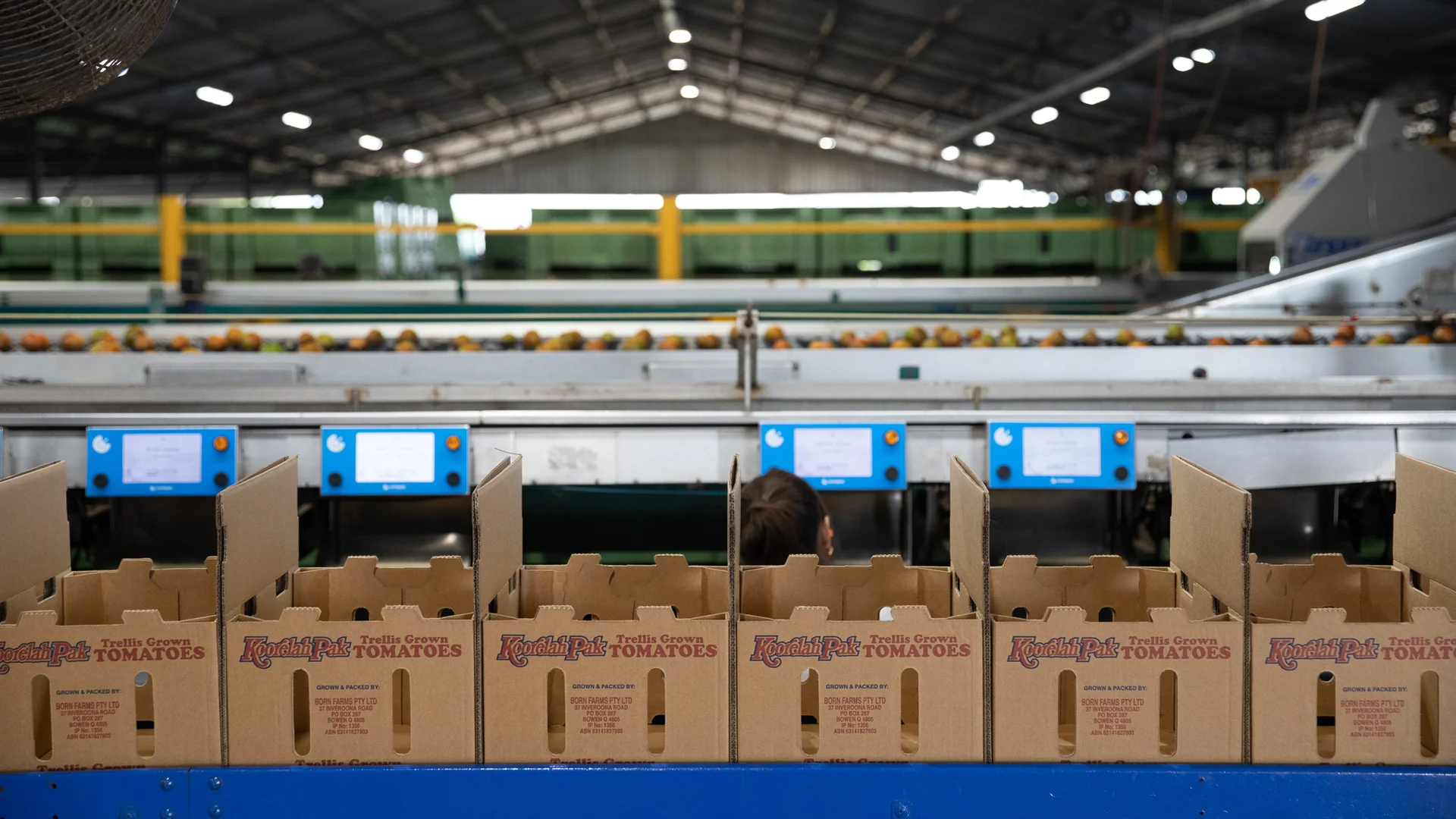 Additional image 18 of 37 Inveroona Road, Bowen QLD 4805