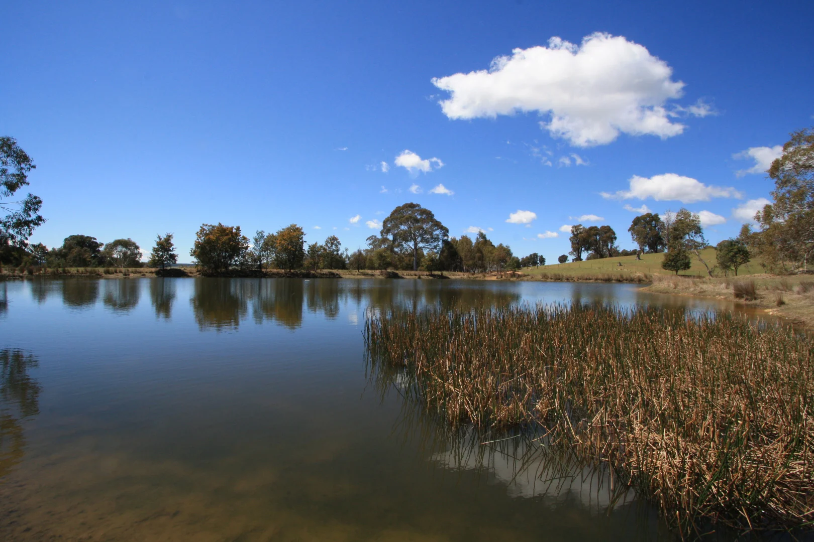 Additional image 5 of 171 Big Flat Road, Bombala NSW 2632