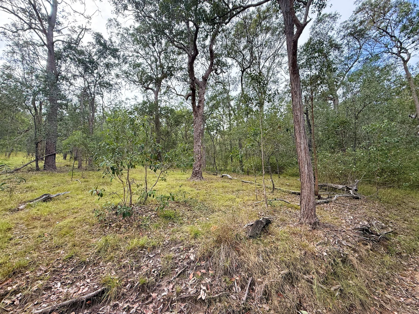 Additional image 26 of Lot 10/931 Nearum Road, Nearum QLD 4671