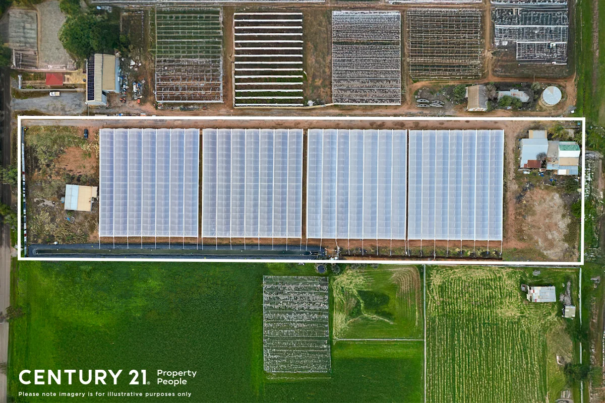 56 Rowland Road, Virginia SA 5120