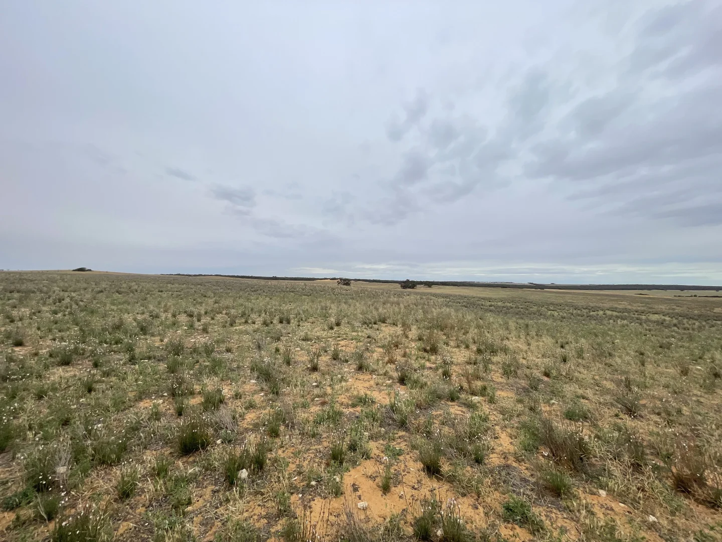 Additional image 9 of 2440 Black Hill Road, Black Hill SA 5353