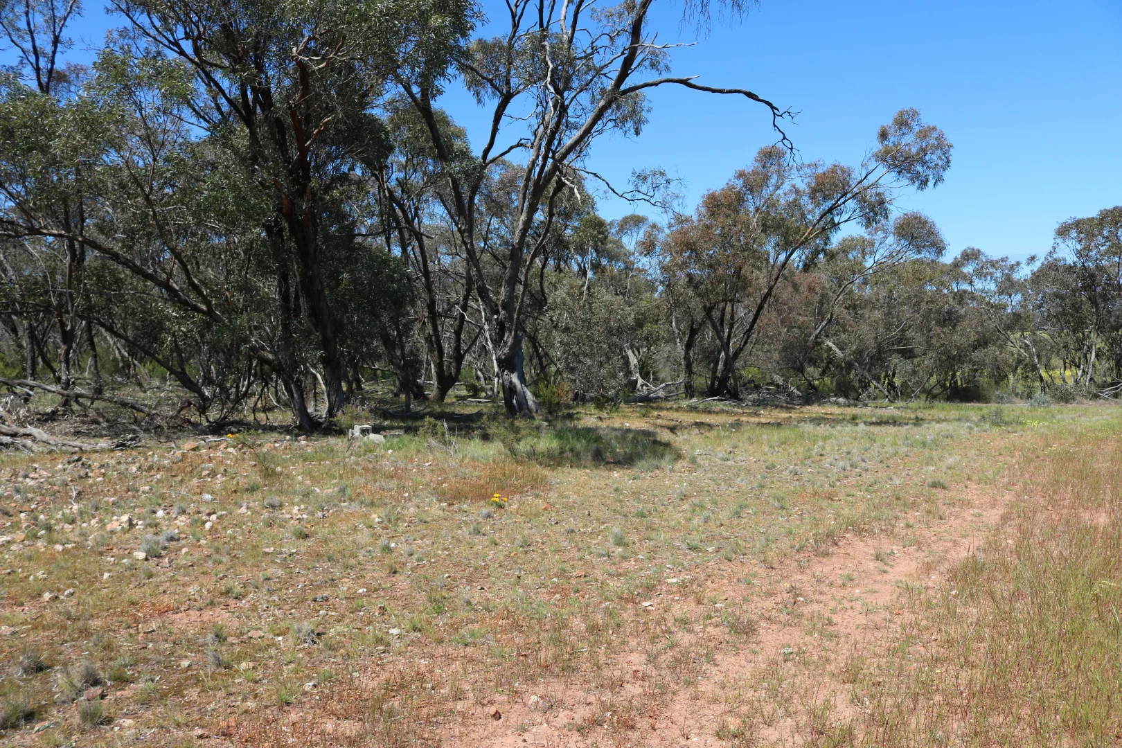 Additional image 10 of Maxwells Lane, Korong Vale VIC 3520