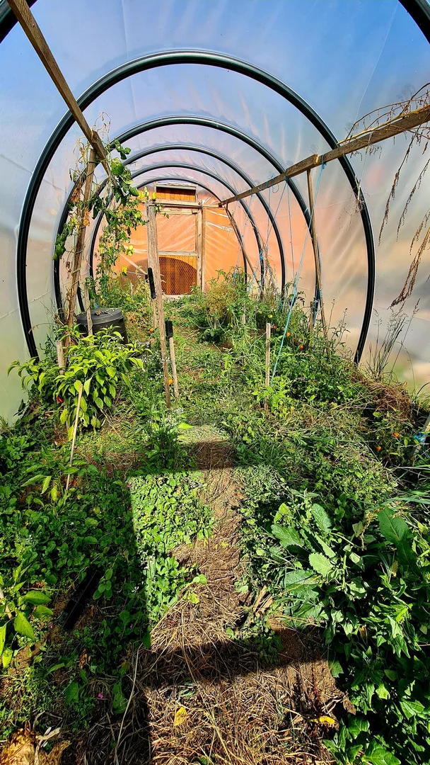 Additional image 16 of 16 Allan St, Derby TAS 7264