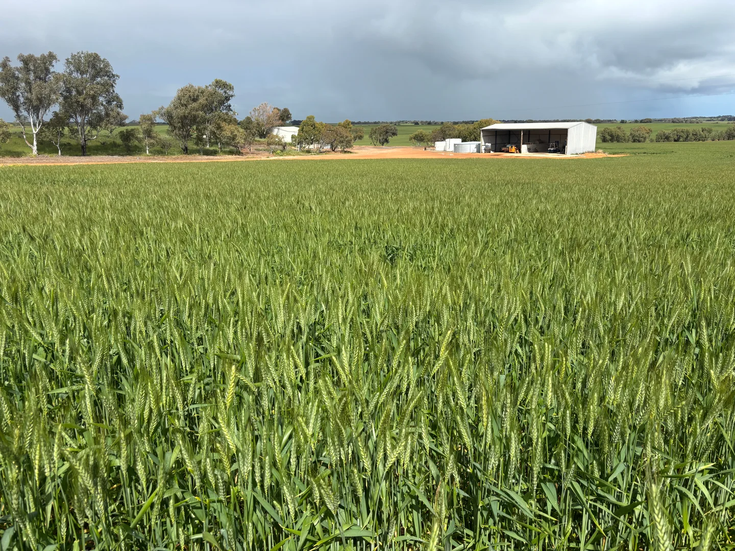 Additional image 6 of 1396 Tabletop Road, Mount Horner WA 6525
