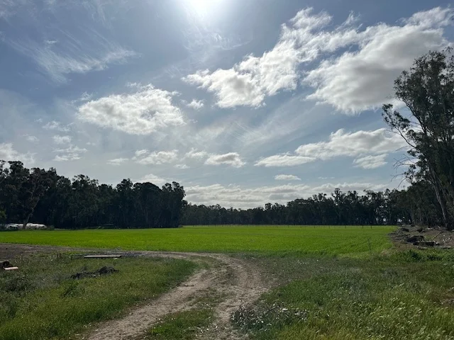 Additional image 6 of 456 RIVER ROAD, Gonn Crossing VIC 3579