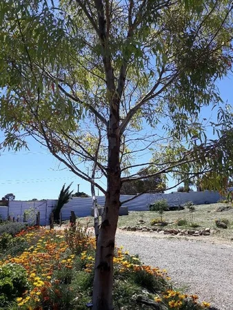 Additional image 5 of Lot 103 Illogan Street, Burra SA 5417