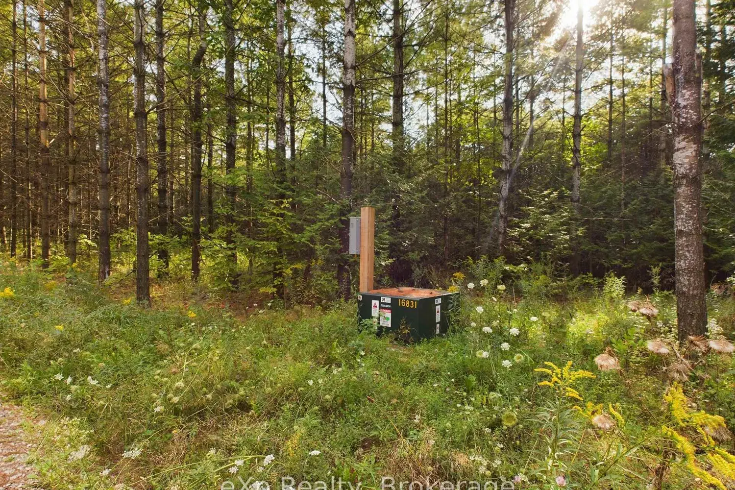 Additional image 13 of 502265 Concession 10 Ndr Concession