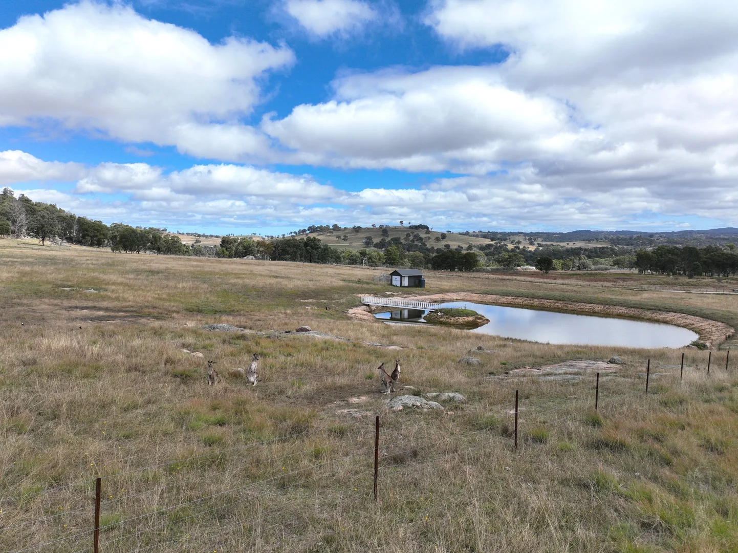 Additional image 32 of 128 McCowens Road, Deepwater NSW 2371