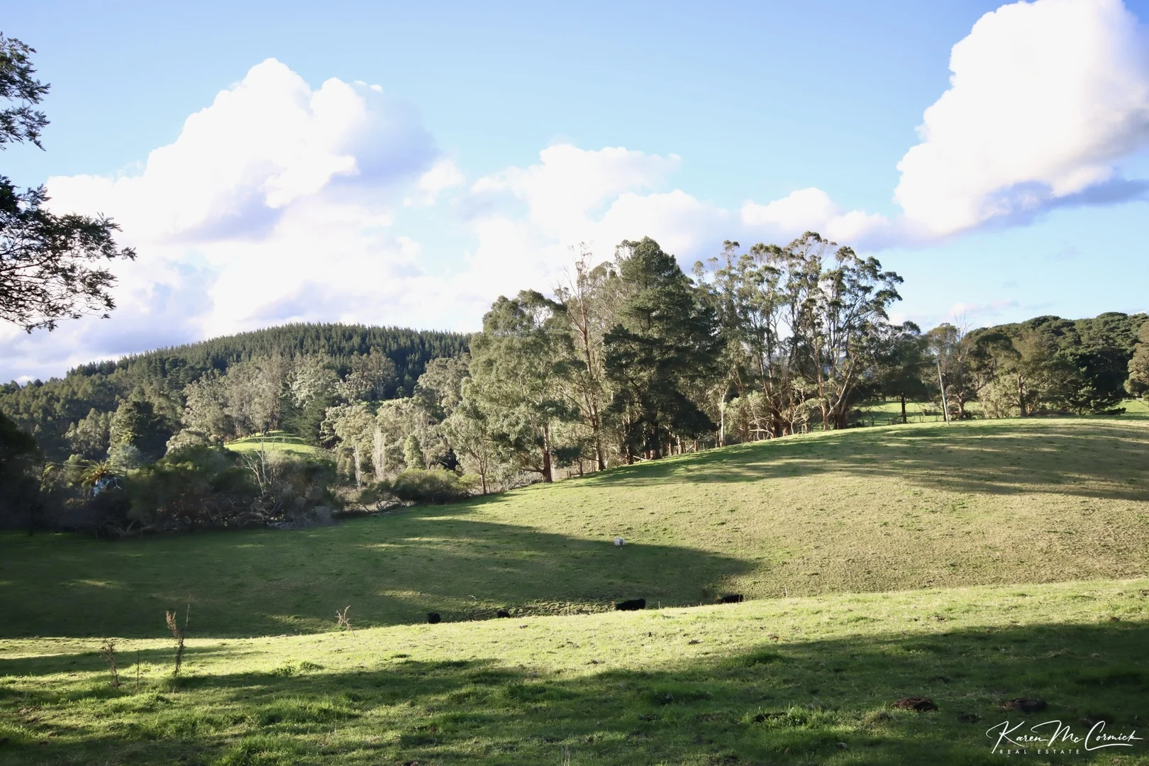 Additional image 14 of 200 Wonga Square Top Road, Wonga VIC 3960