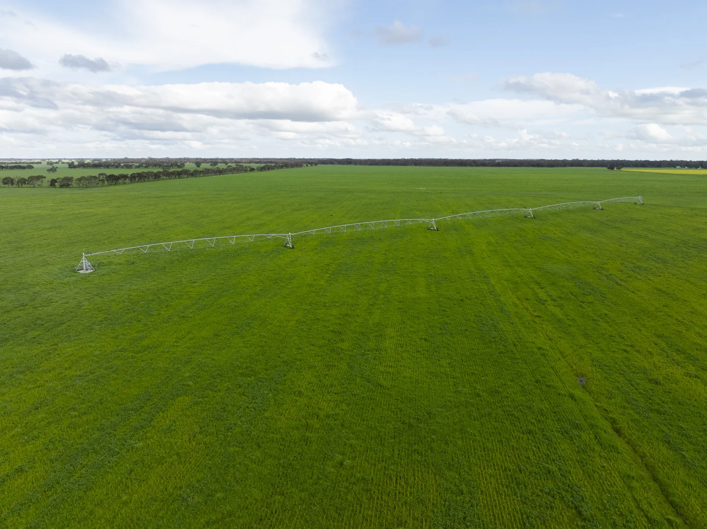 Additional image 16 of 1427 Naracoorte Road, Bordertown SA 5268