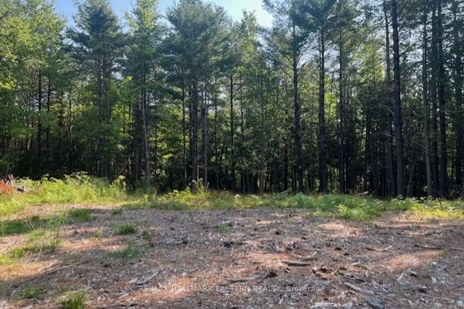 Additional image 8 of 942 Balmer Road