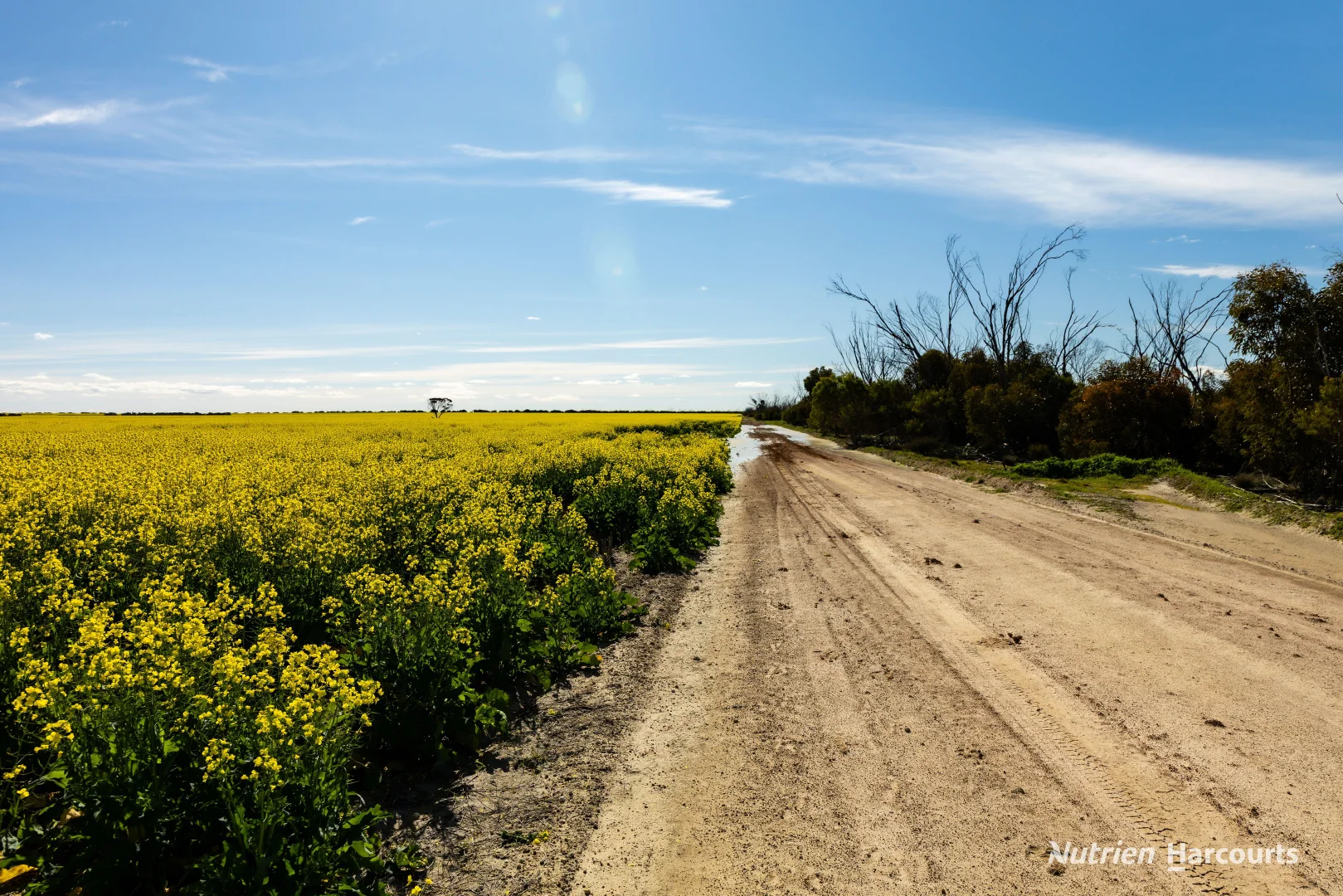 Additional image 3 of . Kendall Road, Scaddan WA 6447