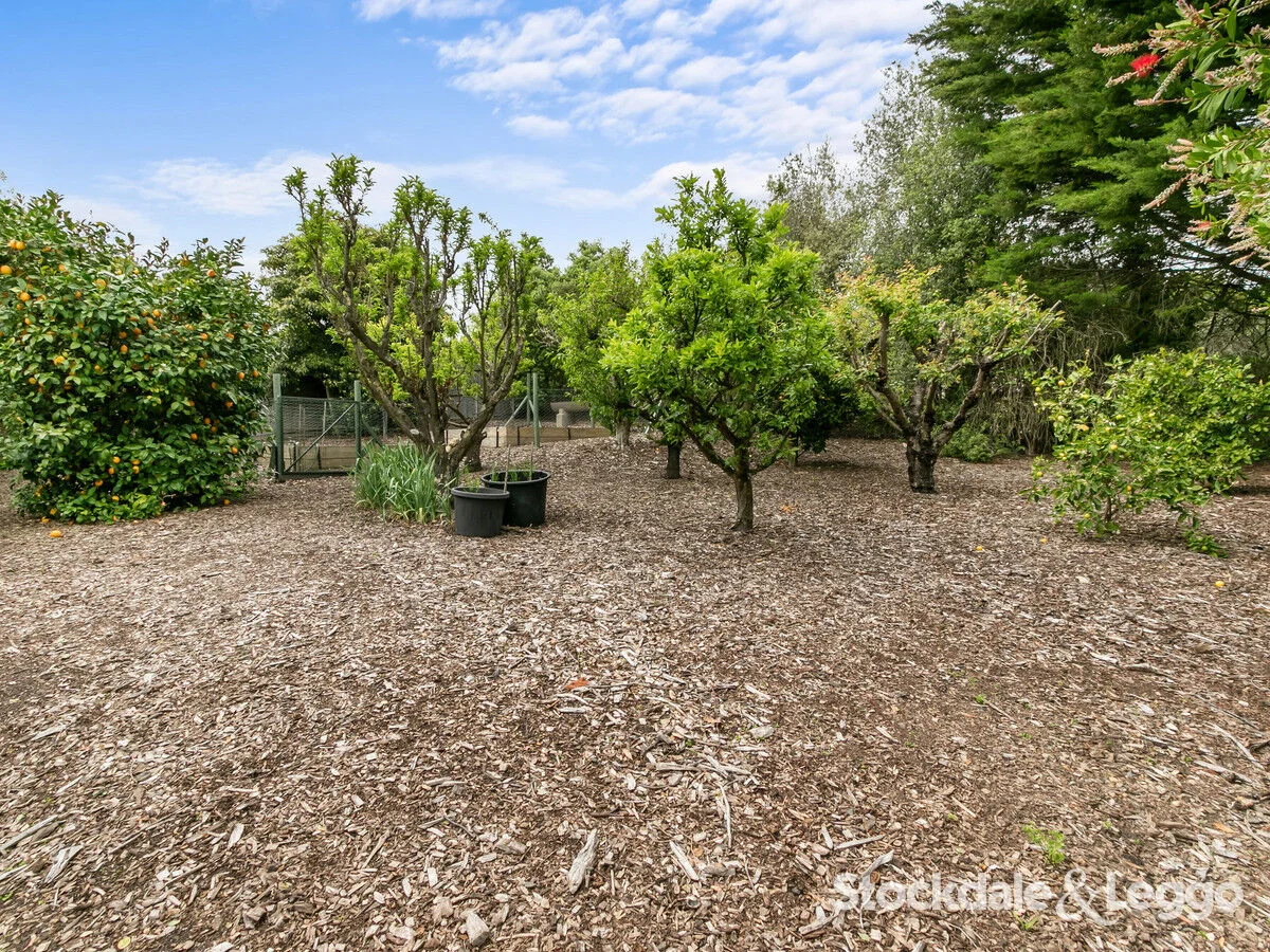 Additional image 32 of 3 Lansdowne Road, Traralgon VIC 3844