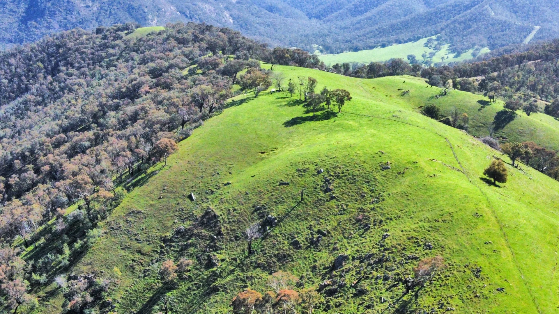 Additional image 7 of 5114 River Road, Jingellic NSW 2642