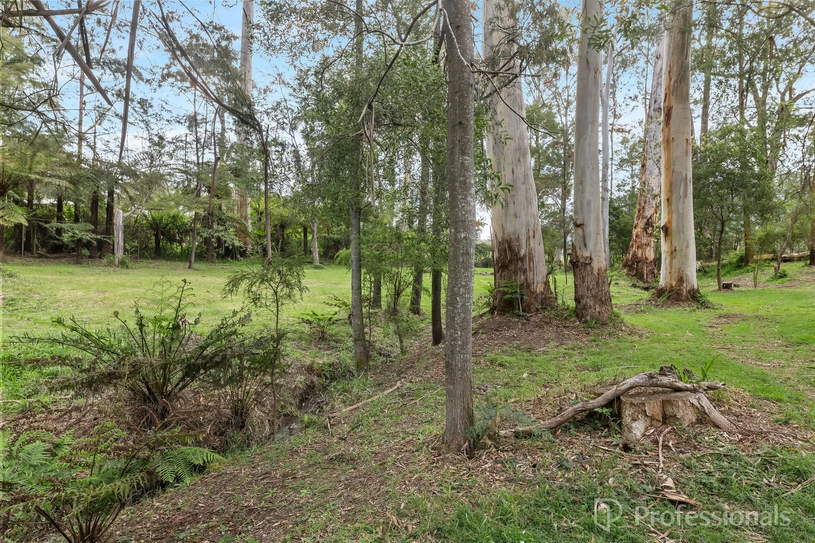 Additional image 11 of 15 Anglers Drive, East Warburton VIC 3799
