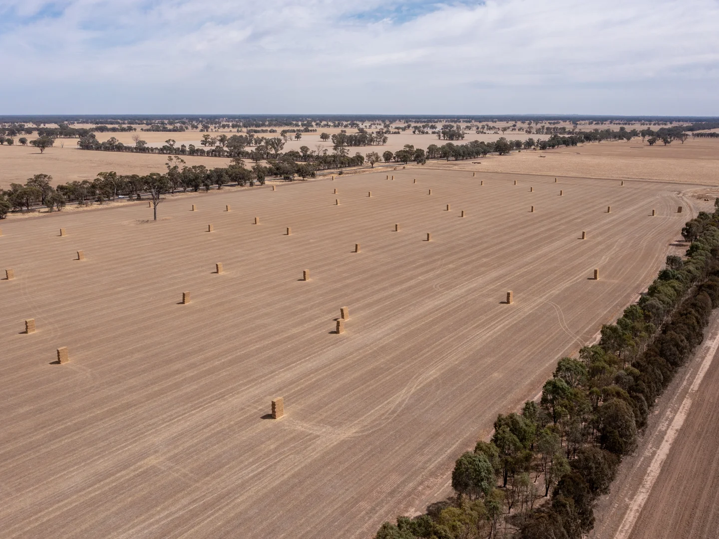 Additional image 10 of CA 60 Federation Way, Springhurst VIC 3682