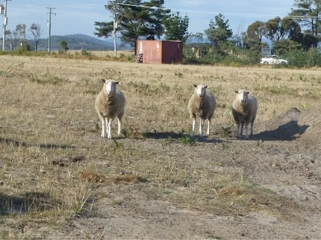 Additional image 4 of 209-221 Arthur Highway, Dunalley TAS 7177