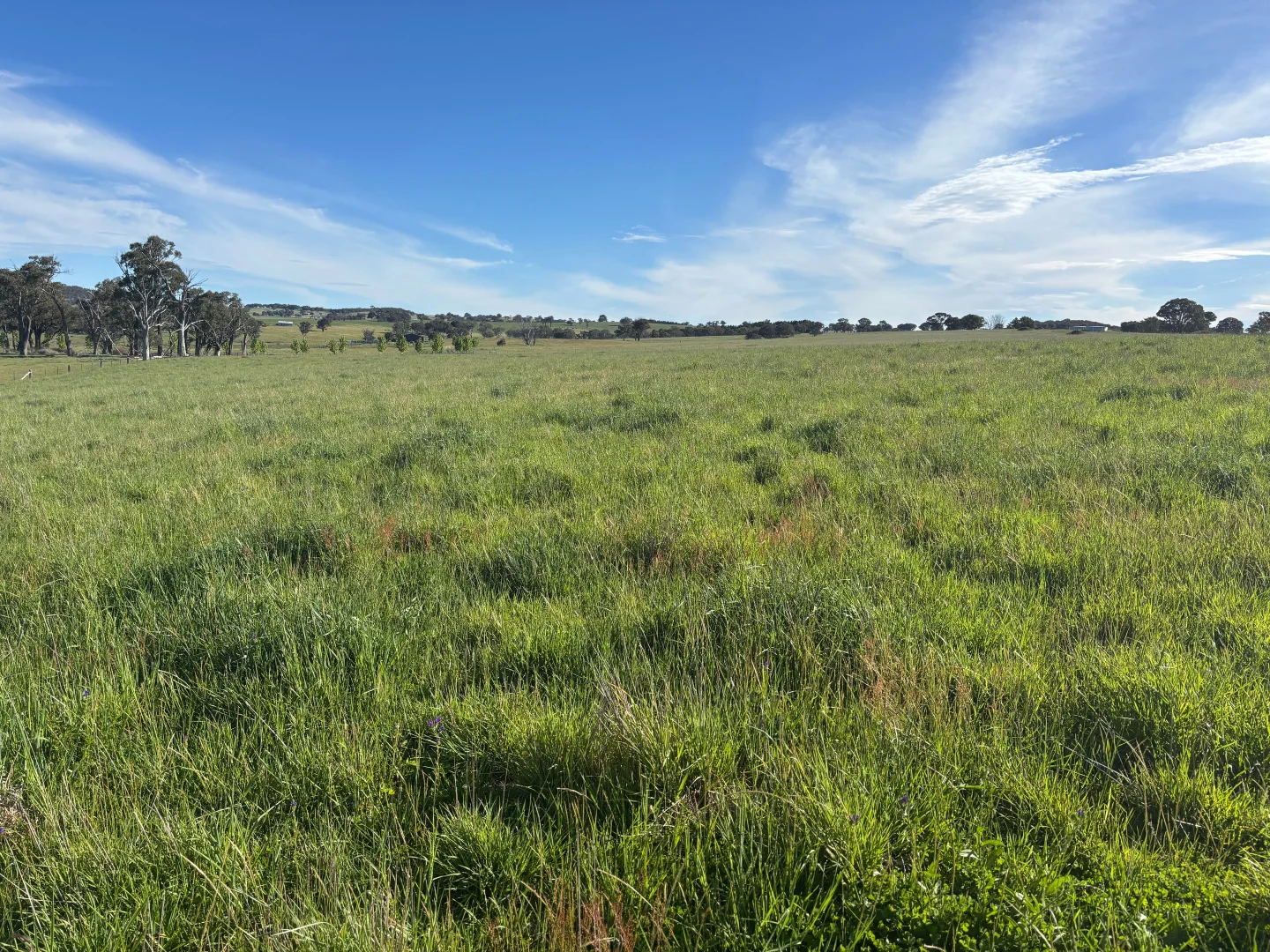 Additional image 30 of 1050 Garland Road, Garland NSW 2797