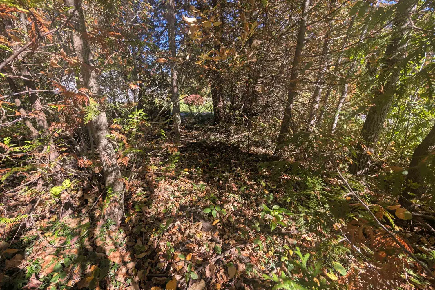 Additional image 8 of Lt 166 Mallory Beach Road