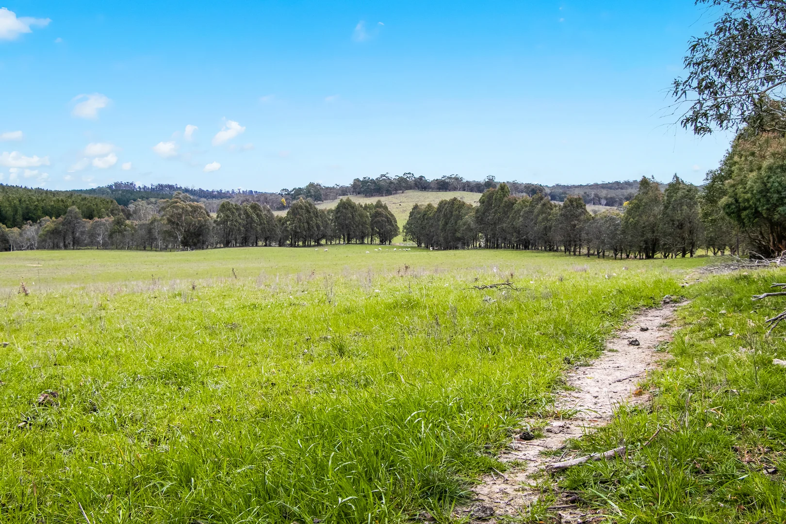 Additional image 17 of 171 Big Flat Road, Bombala NSW 2632