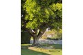 Additional image 20 of 389 Mira Loma Pl, Costa Mesa, CA, 92627