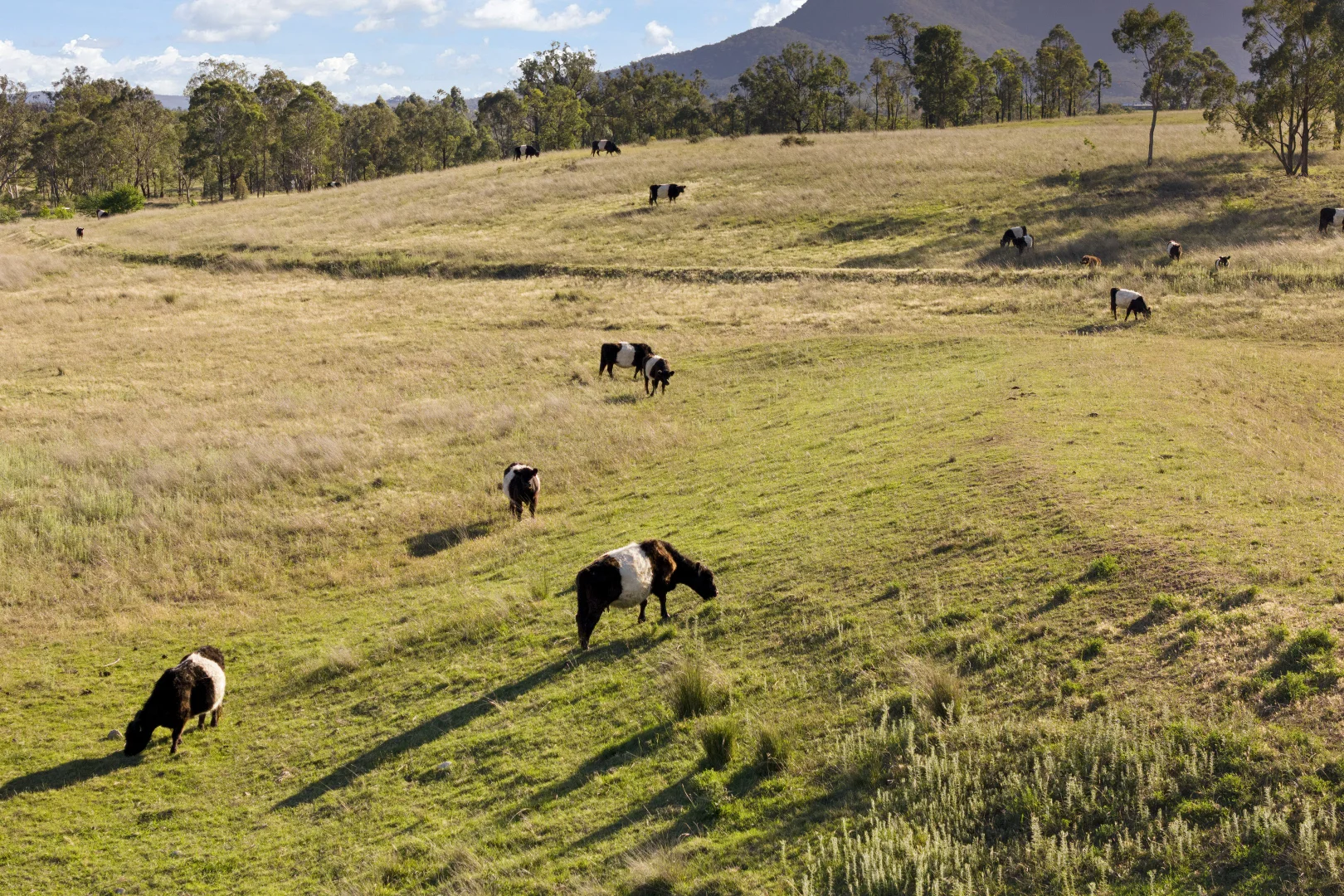 Additional image 25 of 105 Huntingdale Road, Glen Alice NSW 2849
