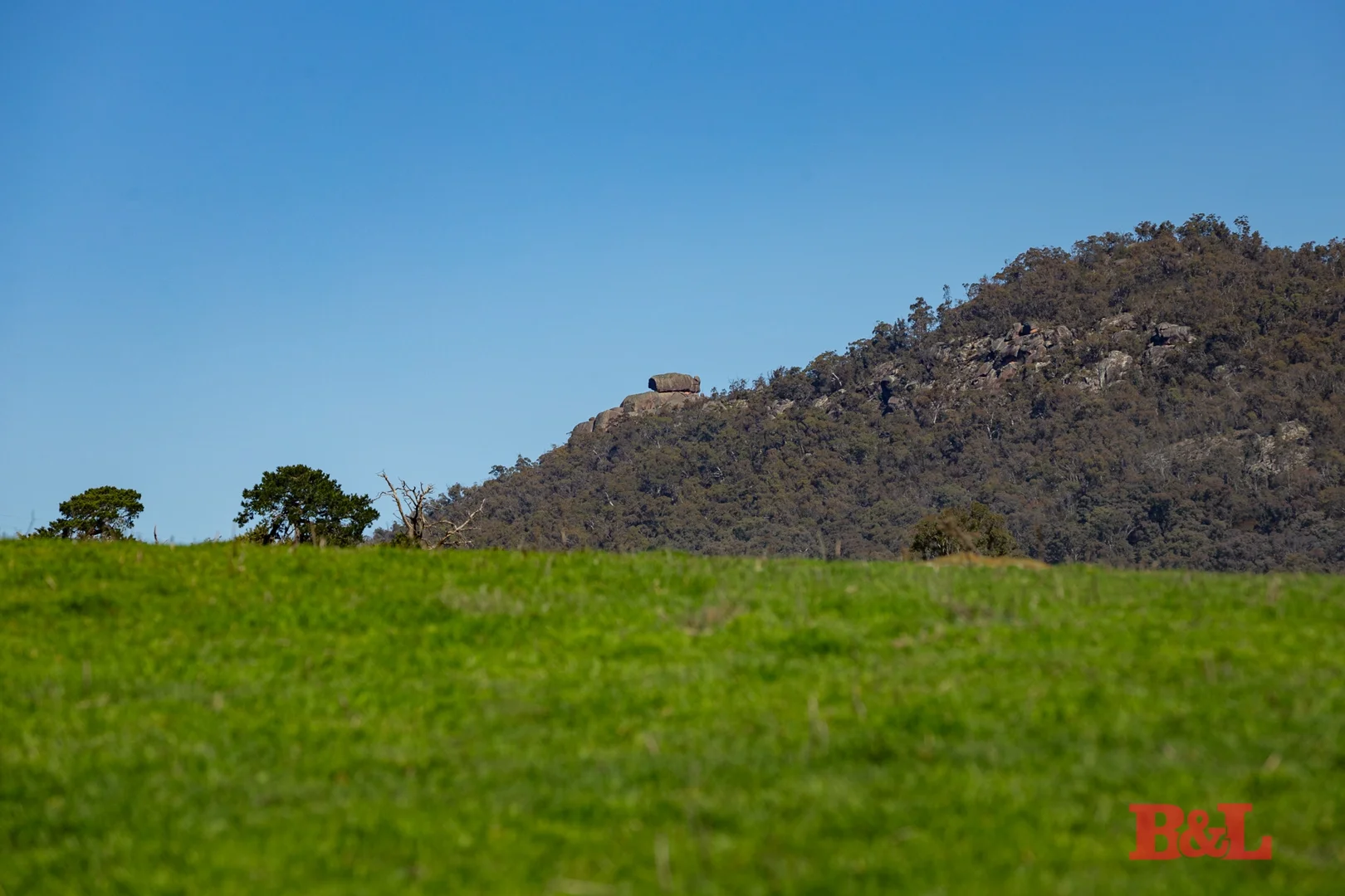 Additional image 10 of 976 Sodwalls Road, Sodwalls NSW 2790