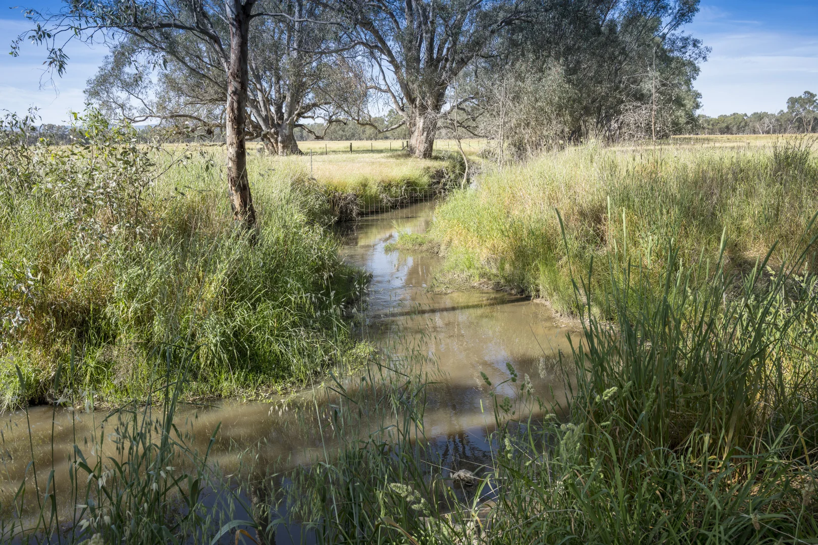 Additional image 9 of CA29A Baddaginnie-Benalla Road, Baddaginnie VIC 3670