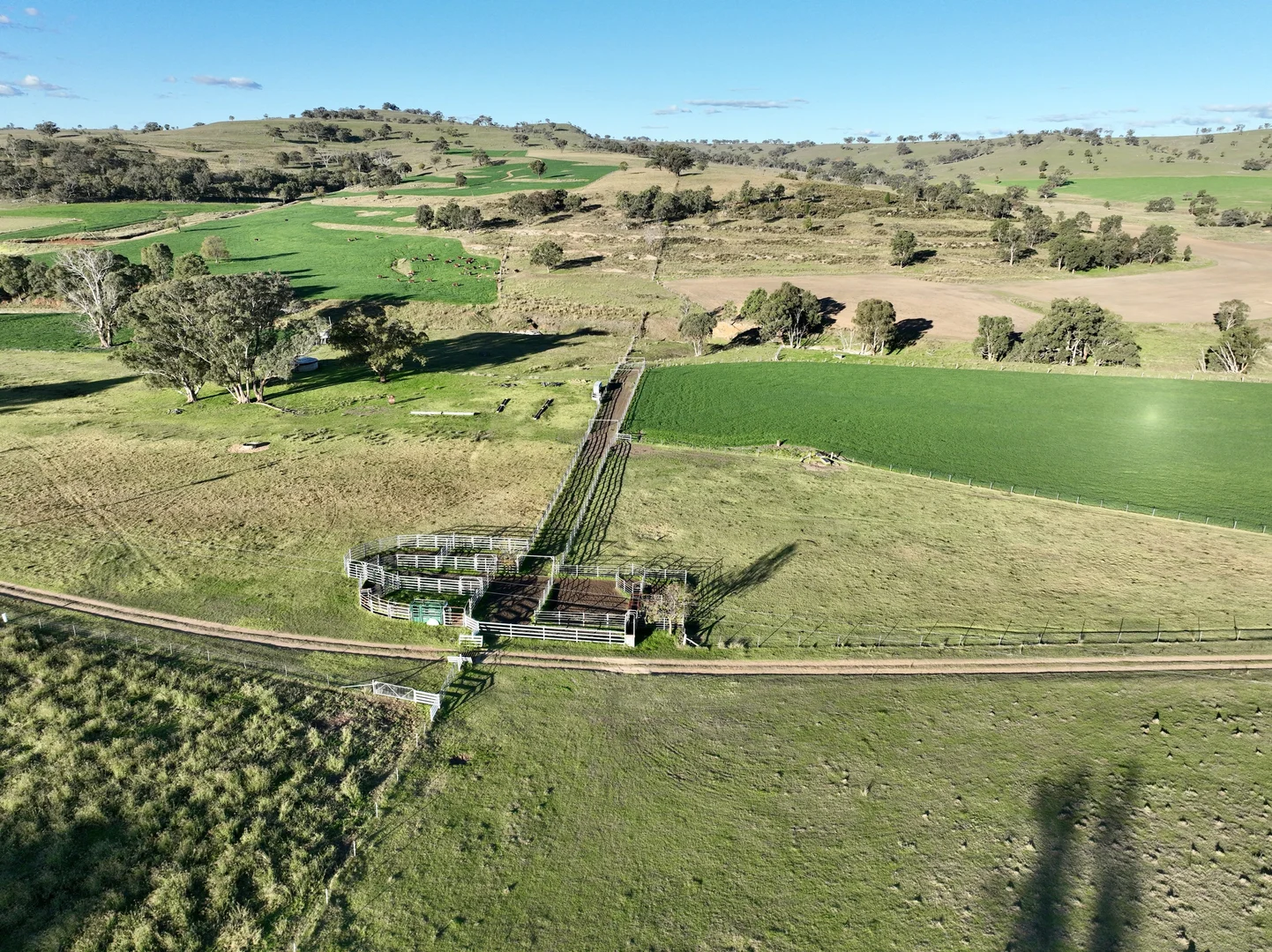 Additional image 25 of "Jemalong" 263 Collier Road, Coolah NSW 2843