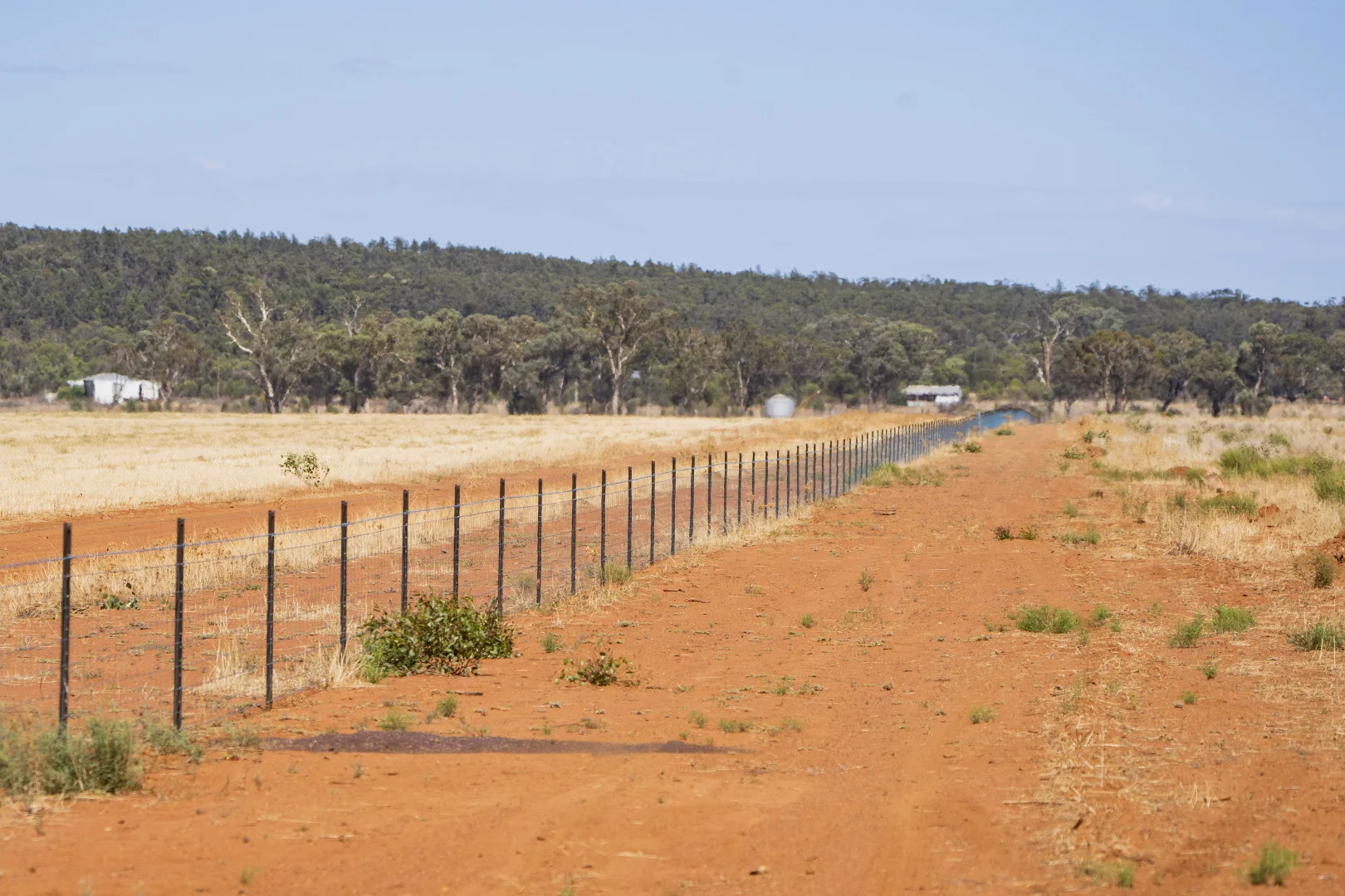 Additional image 4 of 2880 Tallebung Road, Condobolin NSW 2877